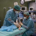 Collaboration in Action